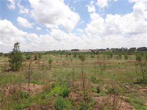 331 m² Land available in Mooikloof Country Residences
