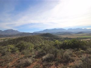 16 ha Land available in De Rust