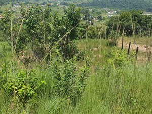 309 m² Land available in Welbedacht