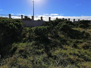 352 m² Land available in Dana Bay