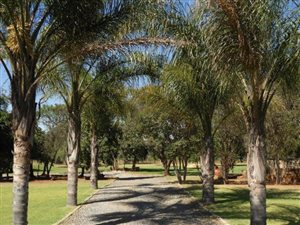10 ha Farm in Rayton
