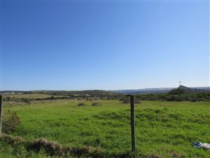 1311 m² Land available in Forest Downs