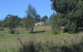1.5 ha Land available in Stutterheim