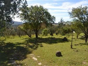 1.5 ha Land available in Stutterheim