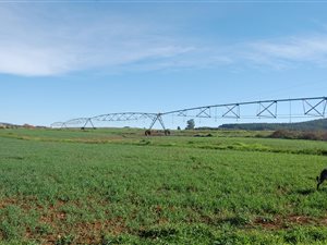 474 ha Farm in Balgowan