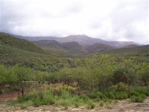 565 ha Farm in Oudtshoorn