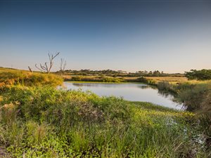 2118 m² Land available in Springvale Country Estate