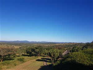 410 ha Farm in Pongola