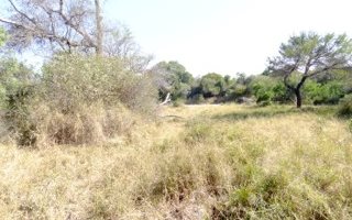 8830 m² Land available in Moditlo Nature Reserve
