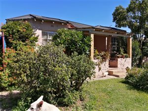 3 Bed House in Homelake