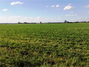 52 ha Farm in Jan Kempdorp