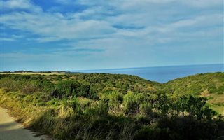 3.1 ha Land available in Hansmoeskraal