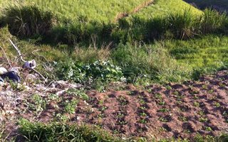 624 m² Land available in Sezela