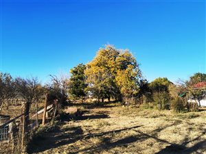 4.3 ha Land available in Estoire