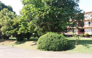 3 Bedroom Apartment in Pelham