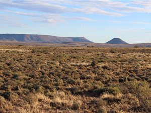 4134 ha Farm in Murraysburg