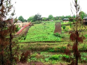 1819 m² Land available in Sabie