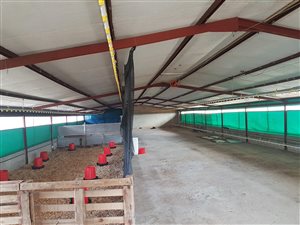 1.7 ha Farm in Heidelberg Central