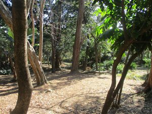 3.7 ha Land available in Glenmore