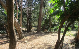 3.7 ha Land available in Glenmore