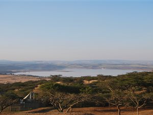 35 ha Farm in Hilton