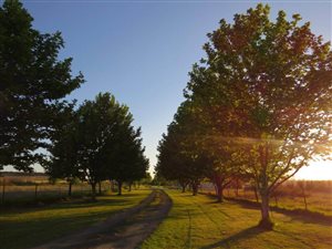 54 m² Farm in Kokstad