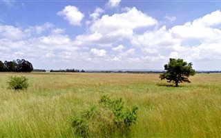 2.3 ha Land available in Nelsonia