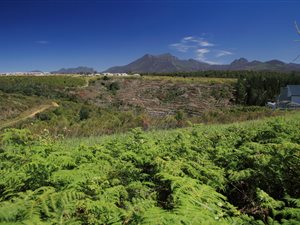 1203 m² Land available in Welgelegen Estate