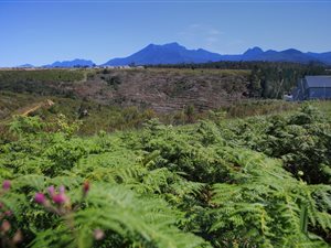 1203 m² Land available in Welgelegen Estate