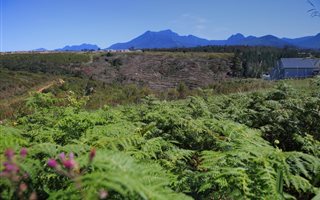 1203 m² Land available in Welgelegen Estate