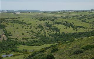1002 m² Land available in Chintsa West