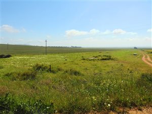 1260 m² Land available in Darling