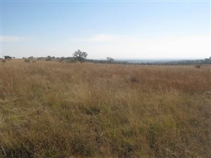 13.8 ha Land available in Onderstepoort