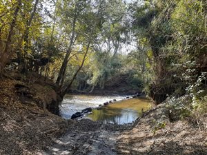 98.4 ha Farm in Dinokeng
