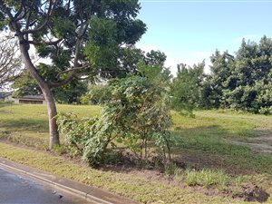 873 m² Land available in Richards Bay Central