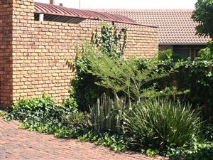 2 Bedroom Apartment in Centurion CBD