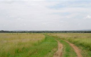129.9 ha Farm in Vaalwater