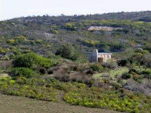 160 ha Farm in Riversdale