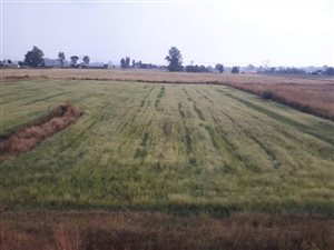 2.3 ha Land available in Boltonwold