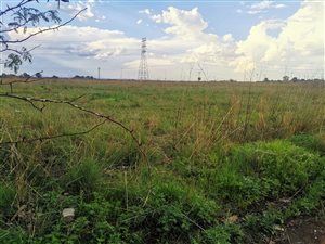1 ha Land available in Villa Liza