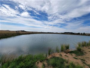 106 ha Farm in Pellissier