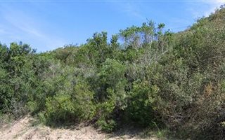 889 m² Land available in Meedingsride