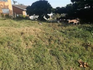 1012 m² Land available in Avoca