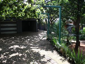 2 Bedroom Apartment in Bellevue