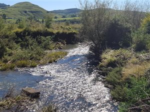 55.6 ha Land available in Kamberg