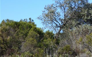 622 m² Land available in Pienaarstrand