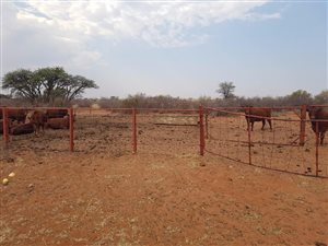 1427 ha Farm in Vryburg