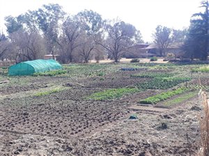 12.5 ha Farm in Lanseria and surrounds