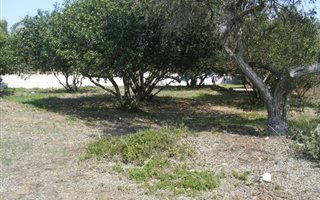 807 m² Land available in Fraaiuitsig