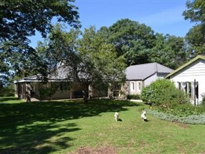3 ha Farm in Ballito